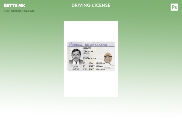 Модерен стил преден шаблон за возење на САД Вирџинија